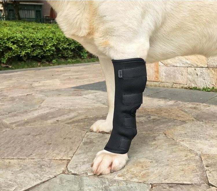 大型犬單腳膝關節支撐復健鉤一對 (兩件) 各種碼數選擇