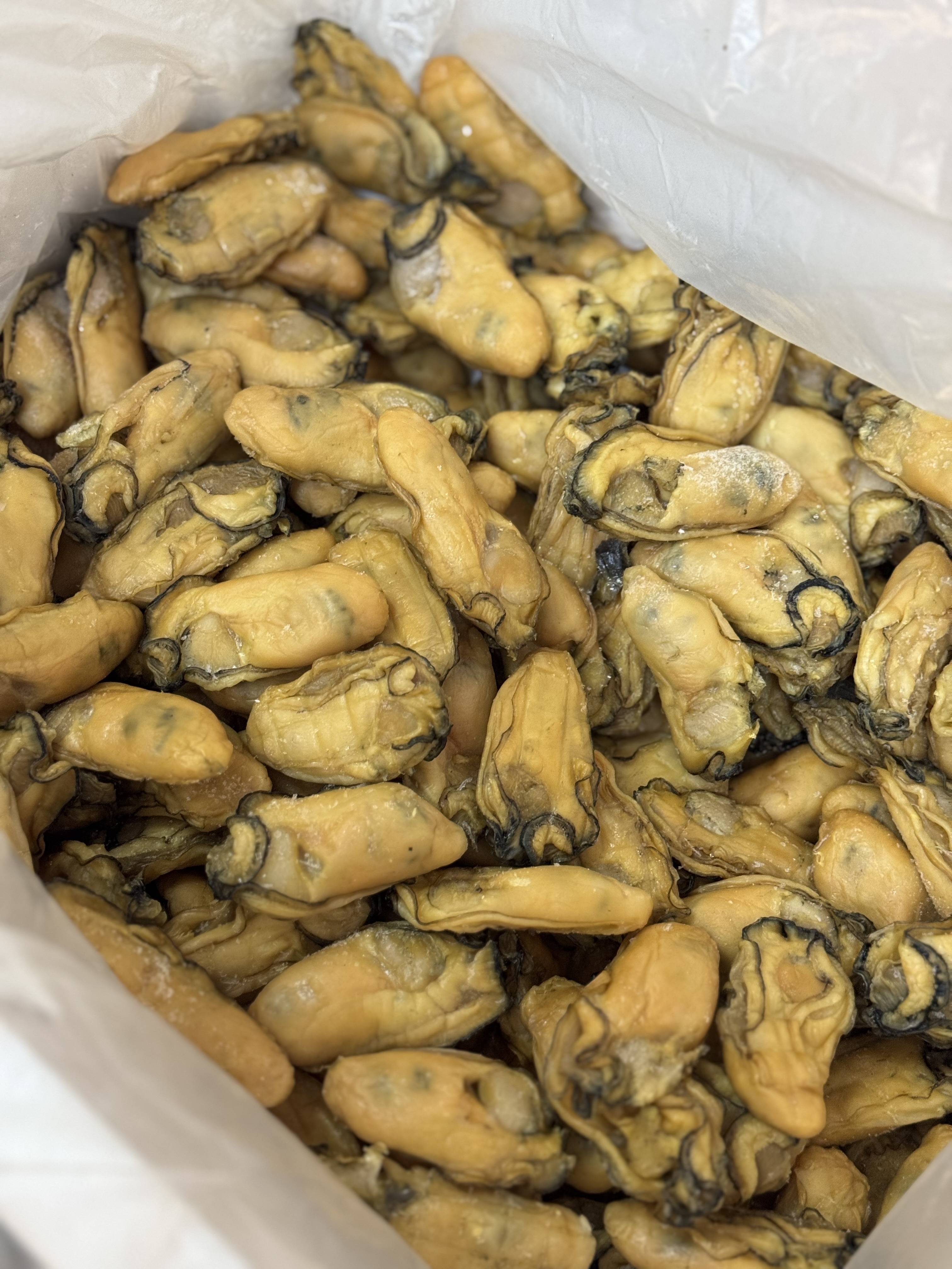 （4796）流浮山特大金蠔600g