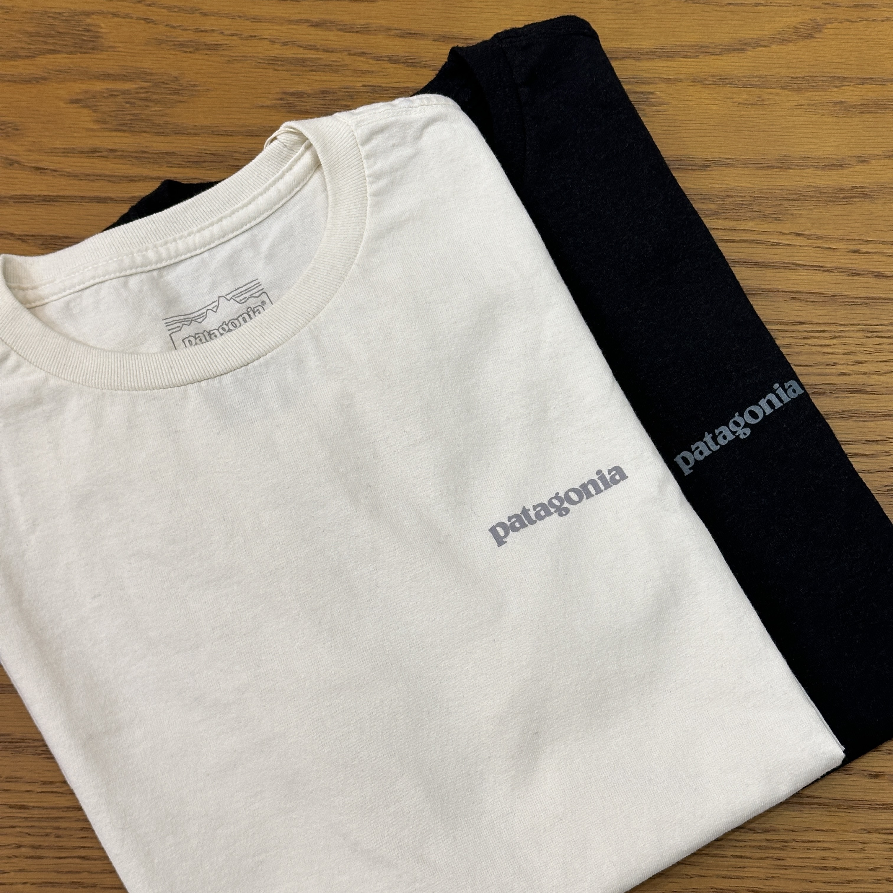 【現貨】Patagonia 印花小logo 短tee 37665