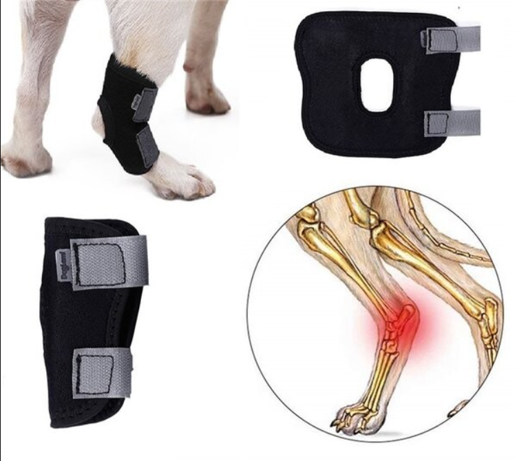 中小型犬足踝關節短護具一件：預防受傷、骨折扭傷術後復健專用 各種碼數選擇