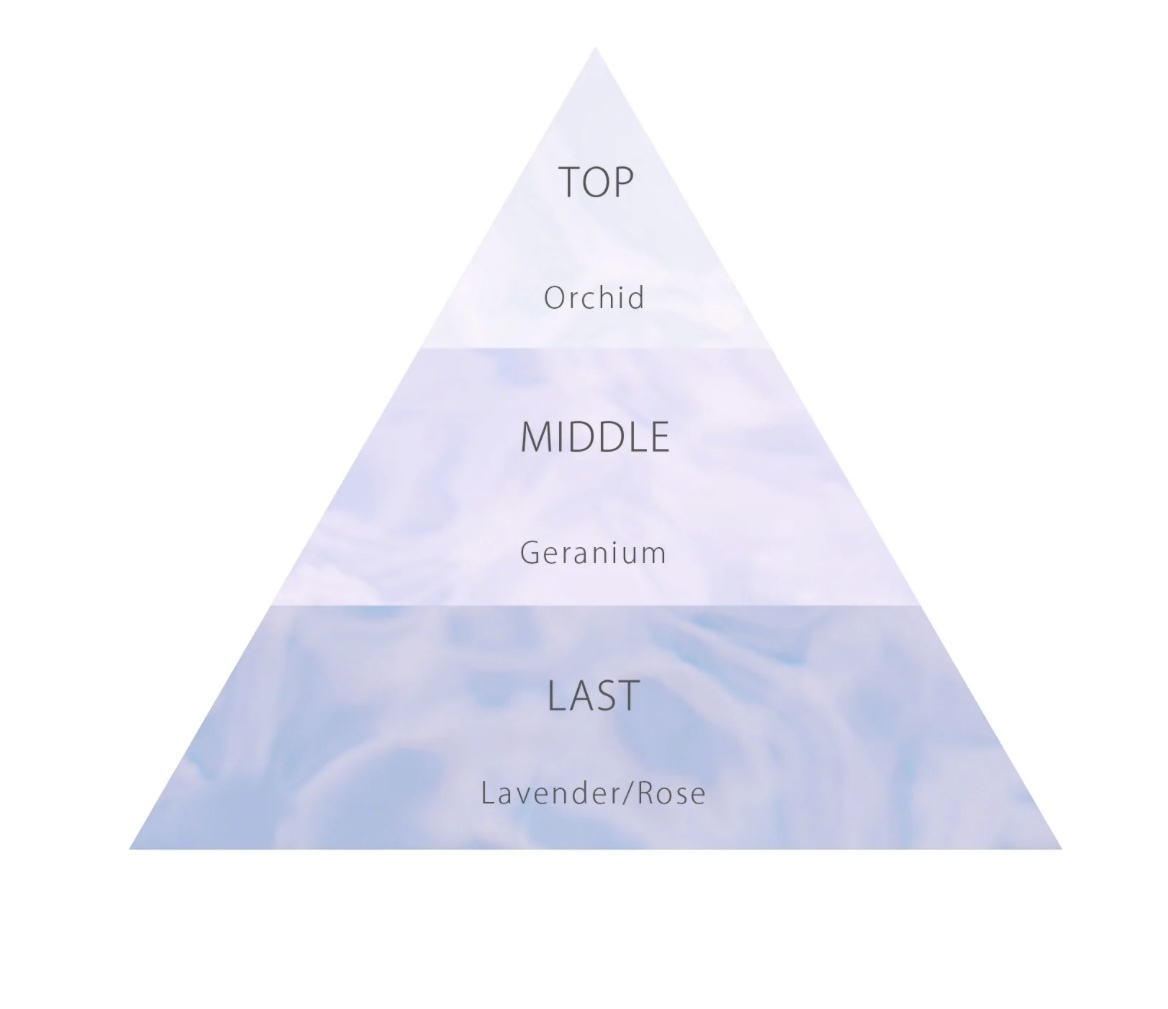 【數量限定】JP Fernanda 香水噴霧 Dream Maria 95ml 2561 TK251009