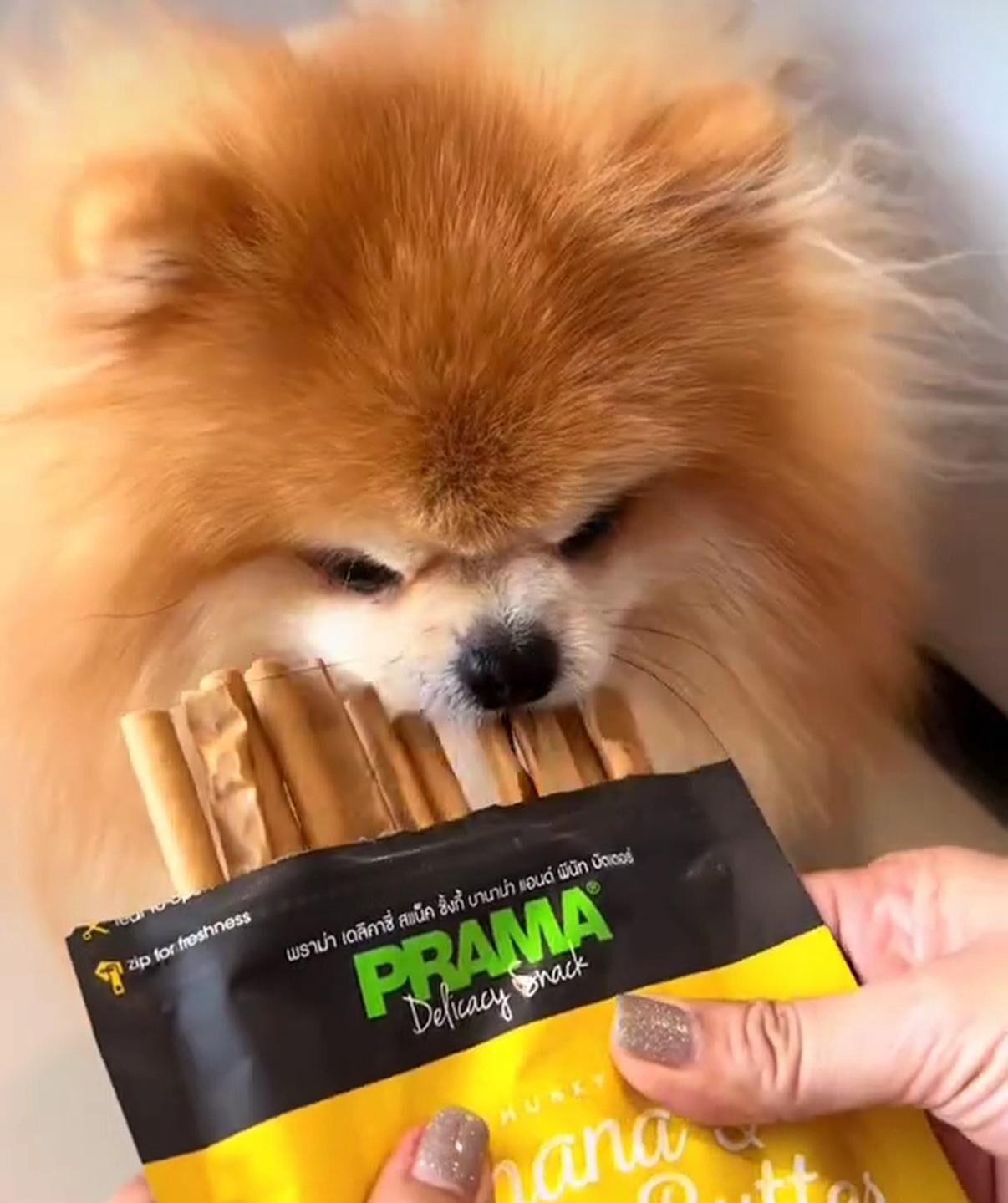 泰國PRAMA哈密瓜鷄肉條70g 狗零食