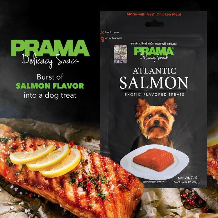 泰國PRAMA三文魚條70g 狗零食