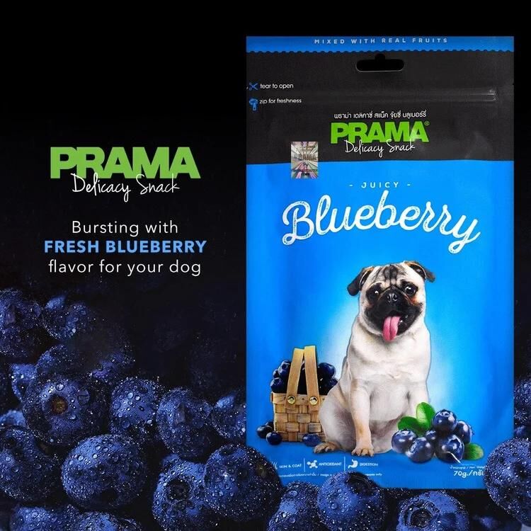 泰國PRAMA藍莓鷄肉條70g 狗零食