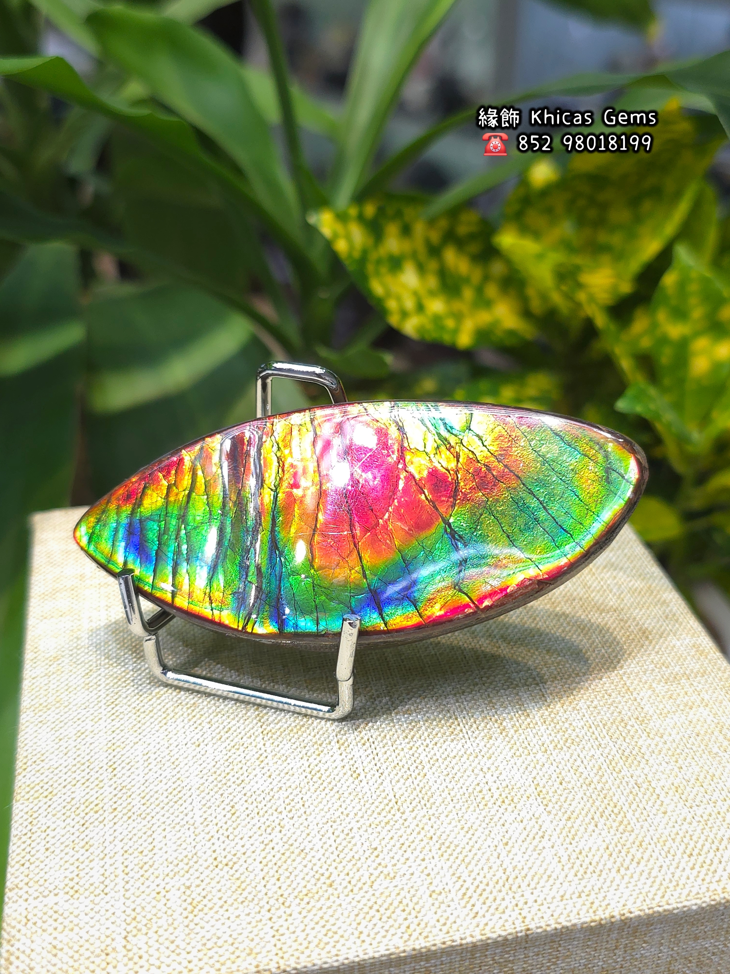 畢業級💜 加拿大七彩珠寶料斑彩石