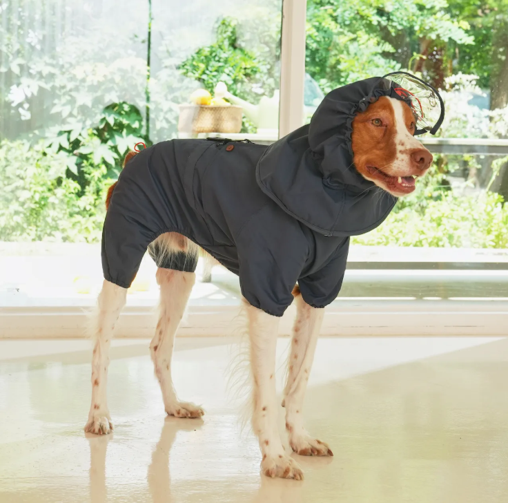Puppy Gallery🇰🇷 | 法式風格雨衣 深藍 寵物雨衣 狗狗雨衣 大型犬雨衣 中型犬雨衣 小型犬雨衣