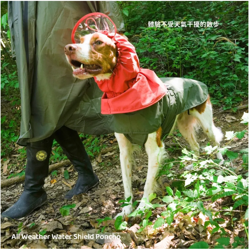 Puppy Gallery🇰🇷 | 全天候防水雨衣 軍綠 寵物雨衣 狗狗雨衣 大型犬雨衣 中型犬雨衣 小型犬雨衣