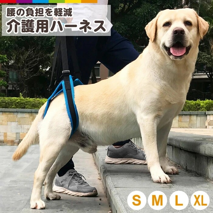 狗狗護理背帶、後腿護理背帶、老年犬護理、助行帶、復健、殘障犬護理
