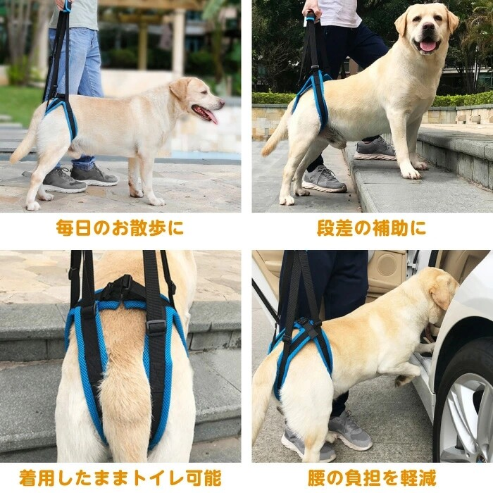 狗狗護理背帶、後腿護理背帶、老年犬護理、助行帶、復健、殘障犬護理