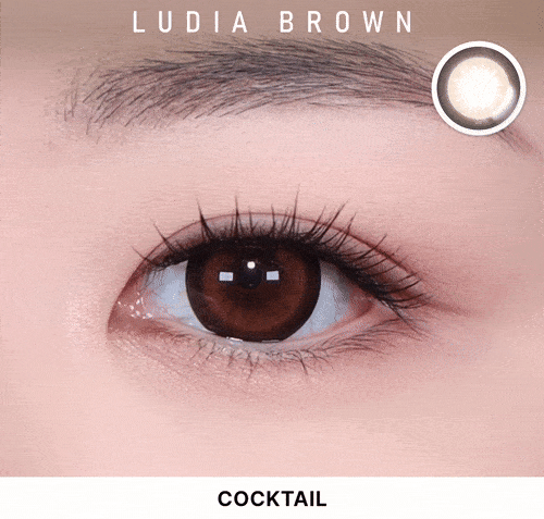 [年拋散光] Lensme Torica Cocktail 1 year LUDIA BROWN 隱形眼鏡｜1片