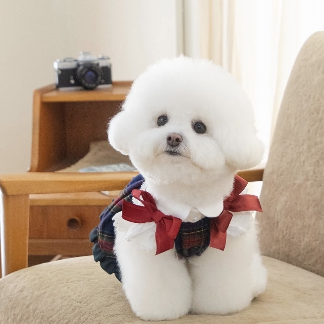 學院風 Preppy Bustier肩帶洋裝裙（紅格) - it’s sunny outside