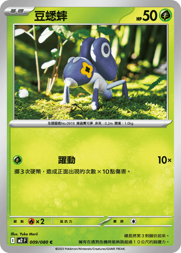 【M2F 009/080 C】豆蟋蟀 C