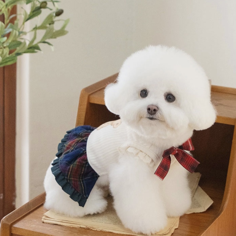 學院熊洋裝 紅格紋 Preppy Bear OPS- It’s sunny outside