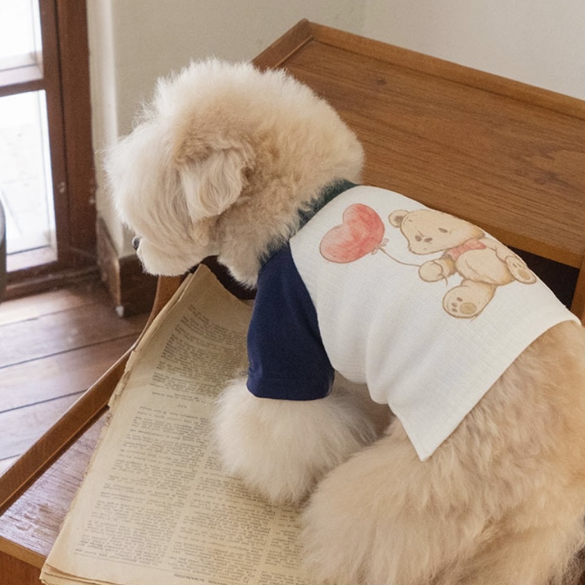 學院熊熊上衣-Preppy Bear TS 插肩棉Ｔ-Cream 奶油米-  It’s sunny outside