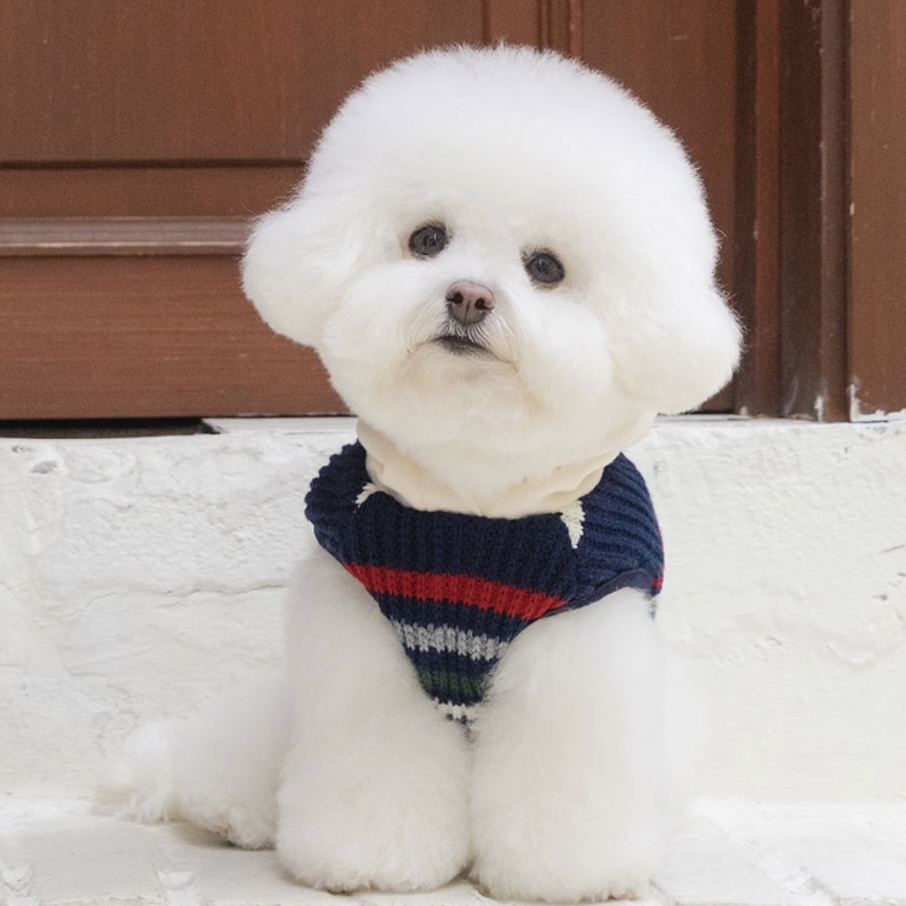 學院雙面熊披風 Preppy Reversible Pancho-背心- It’s sunny outside