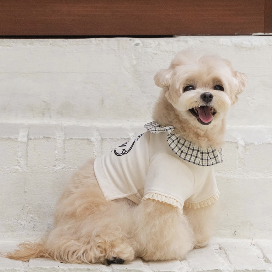 學院荷葉領上衣 Highteen Frill Collar MTM -Cream 奶油米-  It’s sunny outside