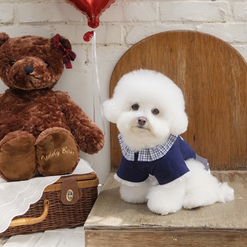 學院荷葉領上衣 Highteen Frill Collar MTM -Navy 海軍藍-  It’s sunny outside