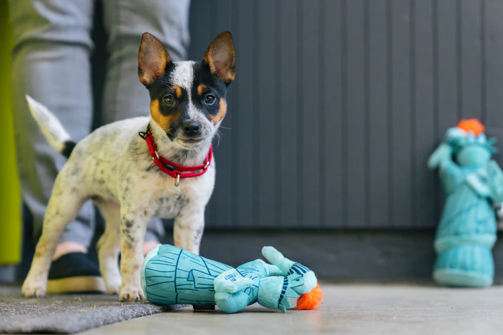 P.L.A.Y. | 自由女神像玩具