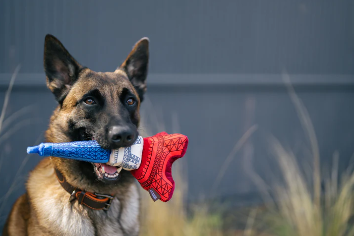 P.L.A.Y. | 艾菲爾鐵塔玩具