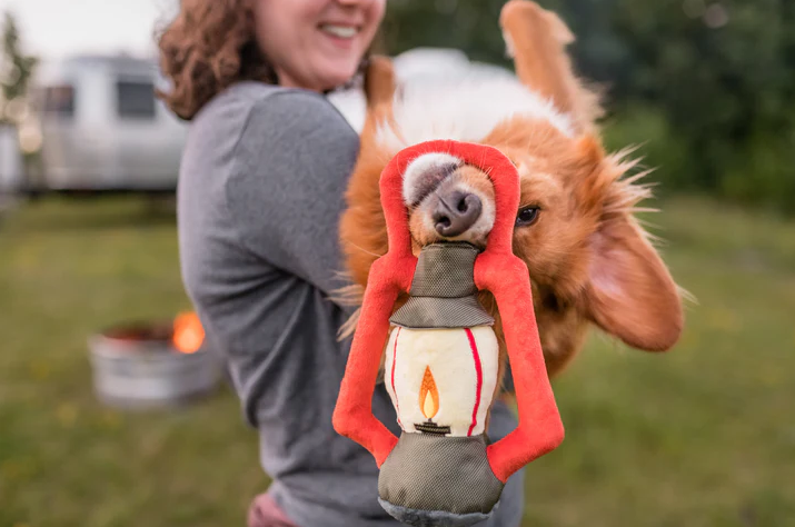 P.L.A.Y. | 營地領隊燈籠玩具