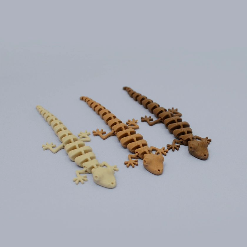 壁虎逗貓頭（顏色隨機）