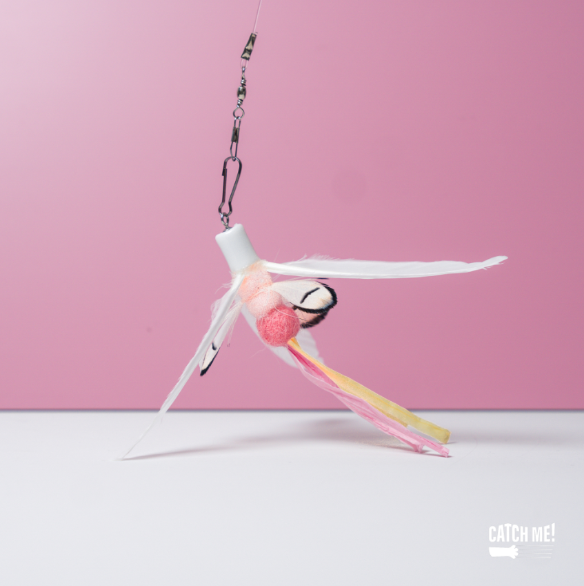 Catch Me!｜紅鶴寶寶