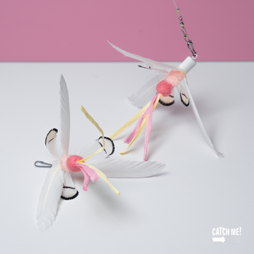 Catch Me!｜紅鶴寶寶