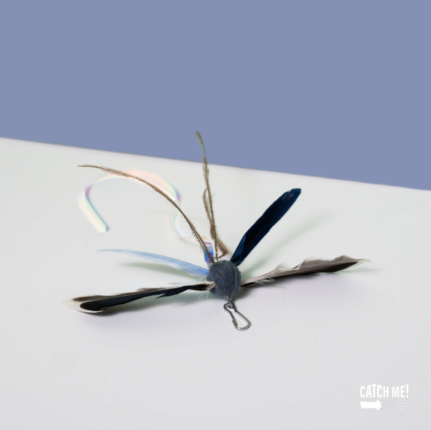 Catch Me!｜始祖鳥