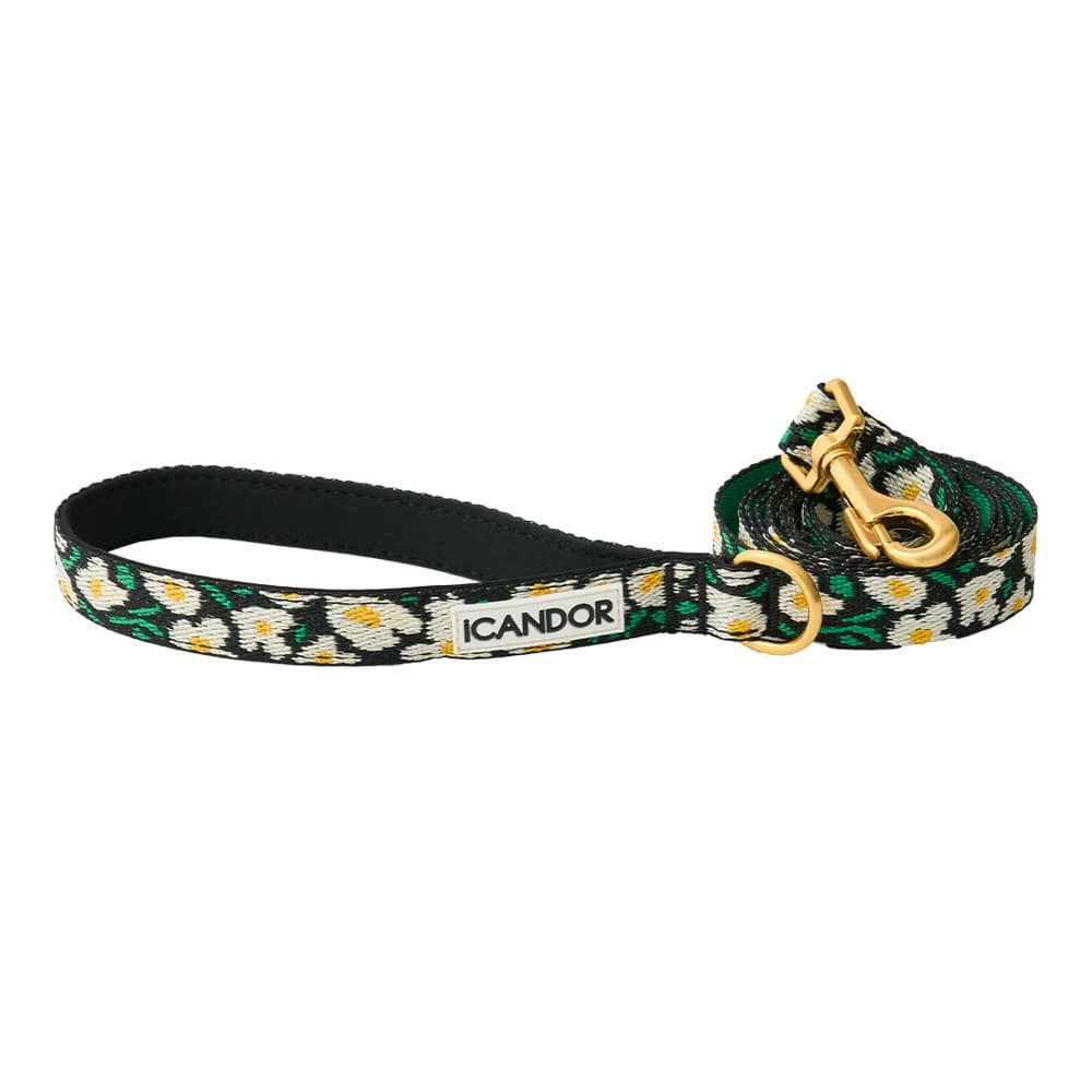 iCANDOR | 寵物牽引繩 Gentle Leash_Big Fish