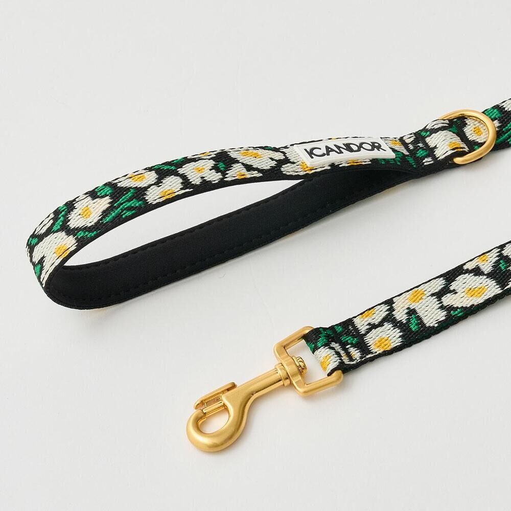 iCANDOR | 寵物牽引繩 Gentle Leash_Big Fish