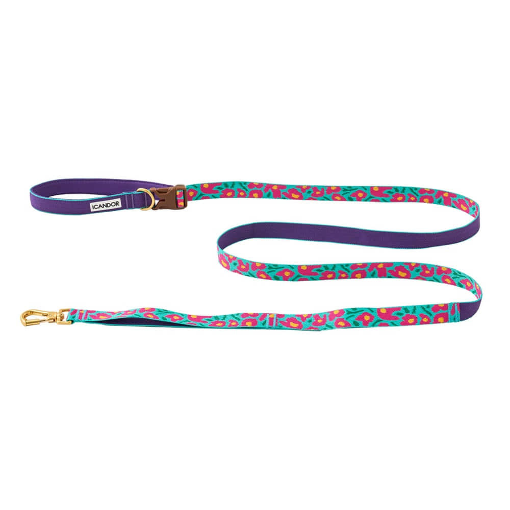 iCANDOR | 寵物可調節牽引繩 Gentle Leash Bolt_Big Fish Mint