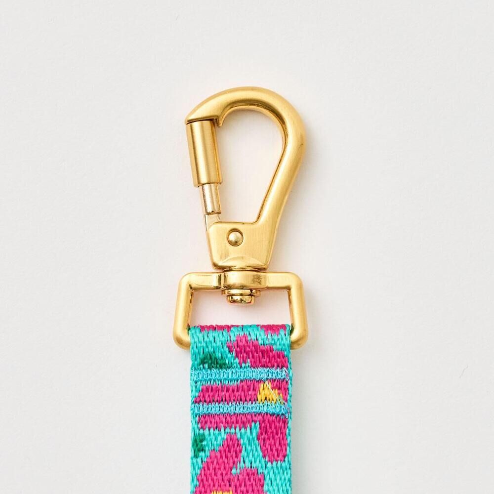 iCANDOR | 寵物可調節牽引繩 Gentle Leash Bolt_Big Fish Mint