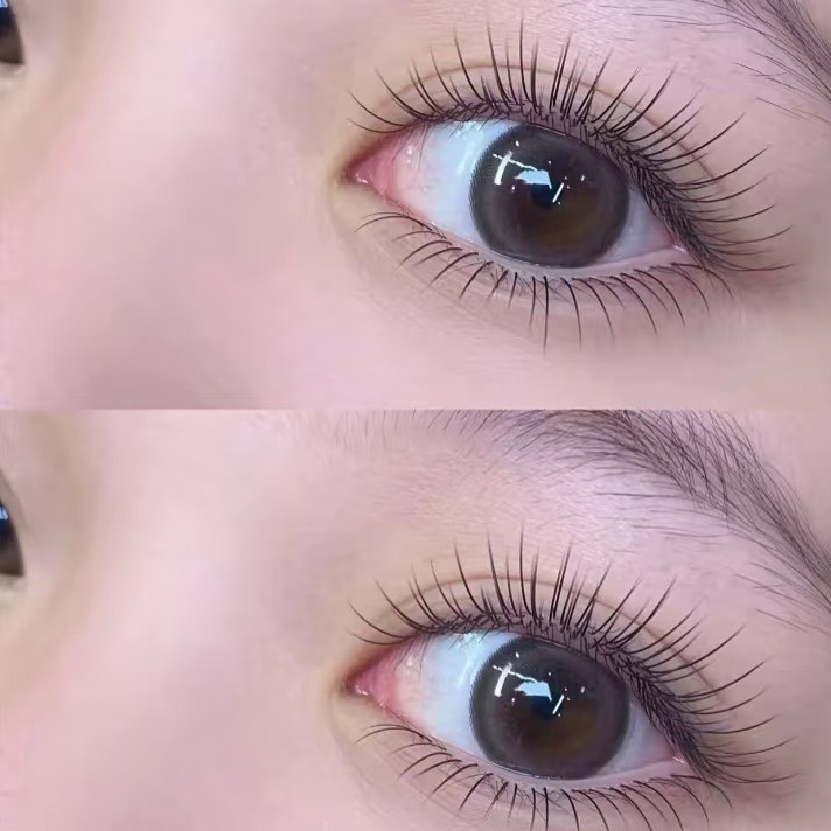 《新北》不限根數!日系輕羽單根嫁接x眼周呵護美睫課程,650元