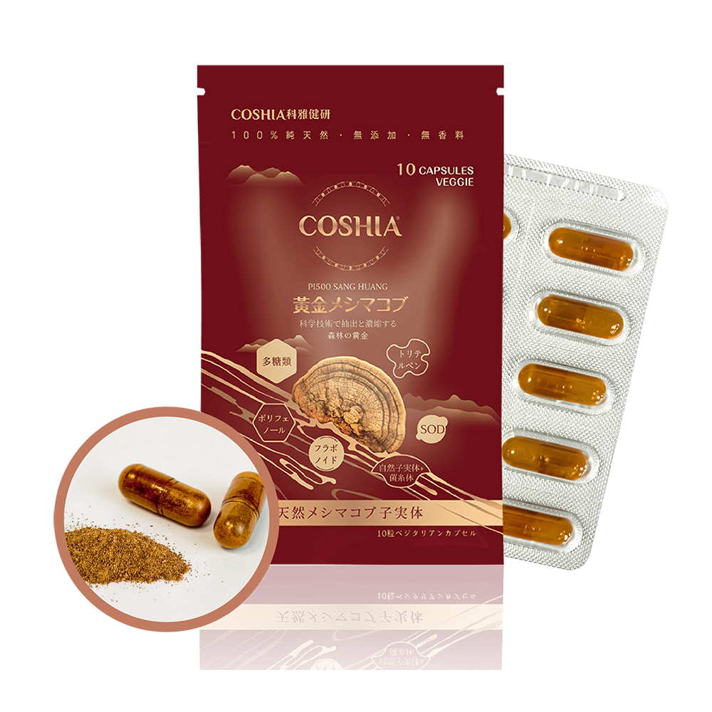 黃金桑黃-萃取膠囊 (6入盒裝/共60粒)