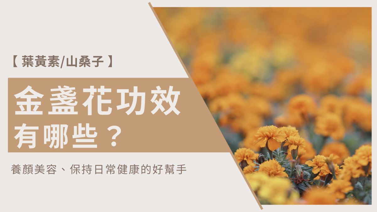 金盞花功效