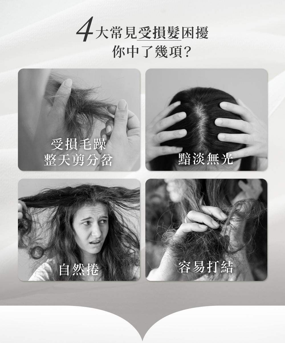 RENATA,鉑金系列,鉑金免沖精華,受損髮,受損毛躁,剪分岔,黯淡無光,自然捲,容易打結