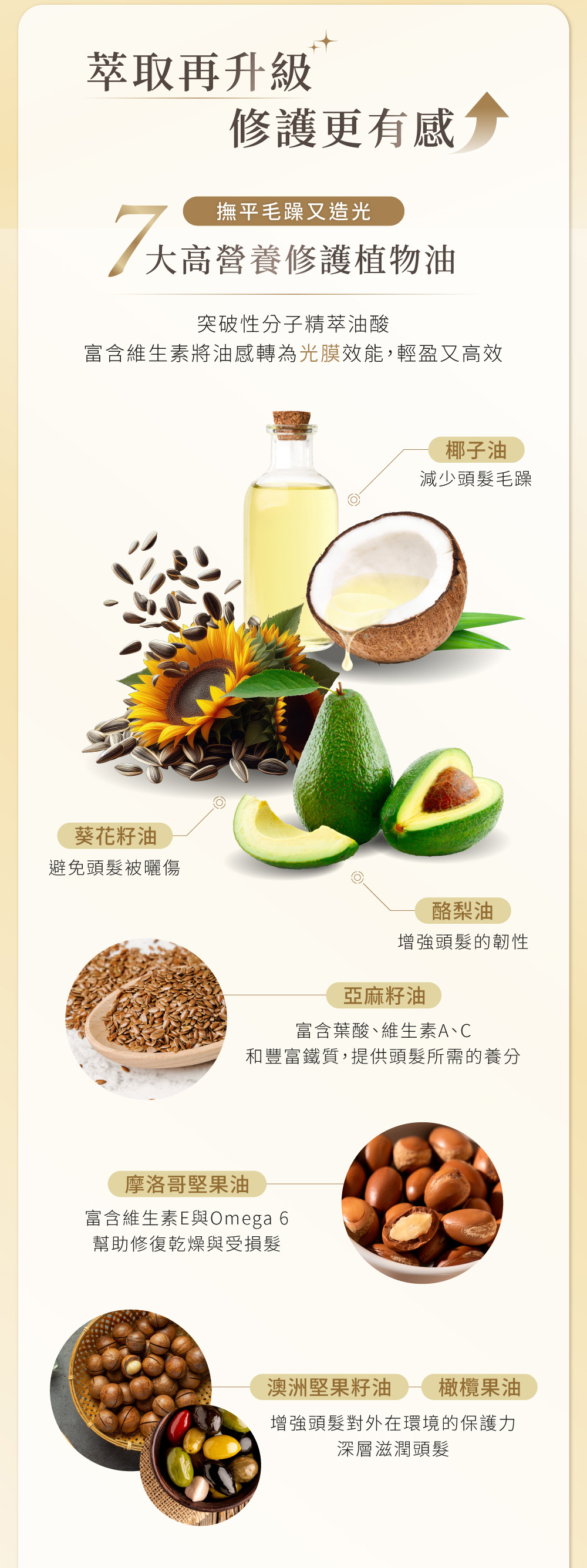 RENATA,鉑金系列,鉑金免沖精華,修護有感,撫平毛躁,高營養修護植物油,維生素,光膜,輕盈高效,椰子油,減少頭髮毛躁,葵花籽油,避免頭髮被曬傷,酪梨油,增強頭髮的韌性,亞麻籽油,富含葉酸,維生素A,維生素C,豐富鐵質,提供頭髮所需的養分,摩洛哥堅果油,富含維生素E,Omega6,幫助修復乾燥與受損髮,澳洲堅果籽油,橄欖果油,增強頭髮對外在環境的保護力,深層滋潤頭髮