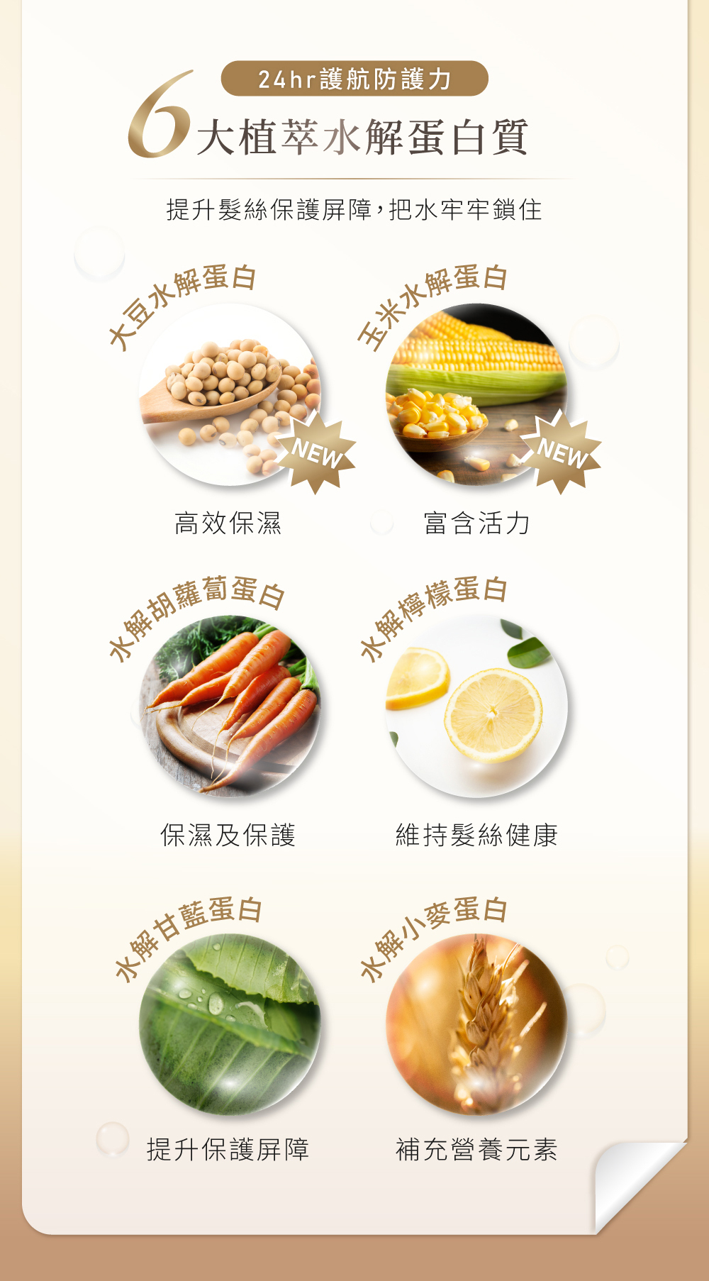 RENATA,鉑金系列,鉑金免沖精華,24小時護航防護力,6大植萃水解蛋白質,提升髮絲保護屏障,鎖水,大豆水解蛋白,高效保濕,玉米水解蛋白,富含活力,水解胡蘿蔔蛋白,保濕及保護,水解檸檬蛋白,維持髮絲健康,水解甘藍蛋白,提升保護屏障,水解小麥蛋白,補充營養元素