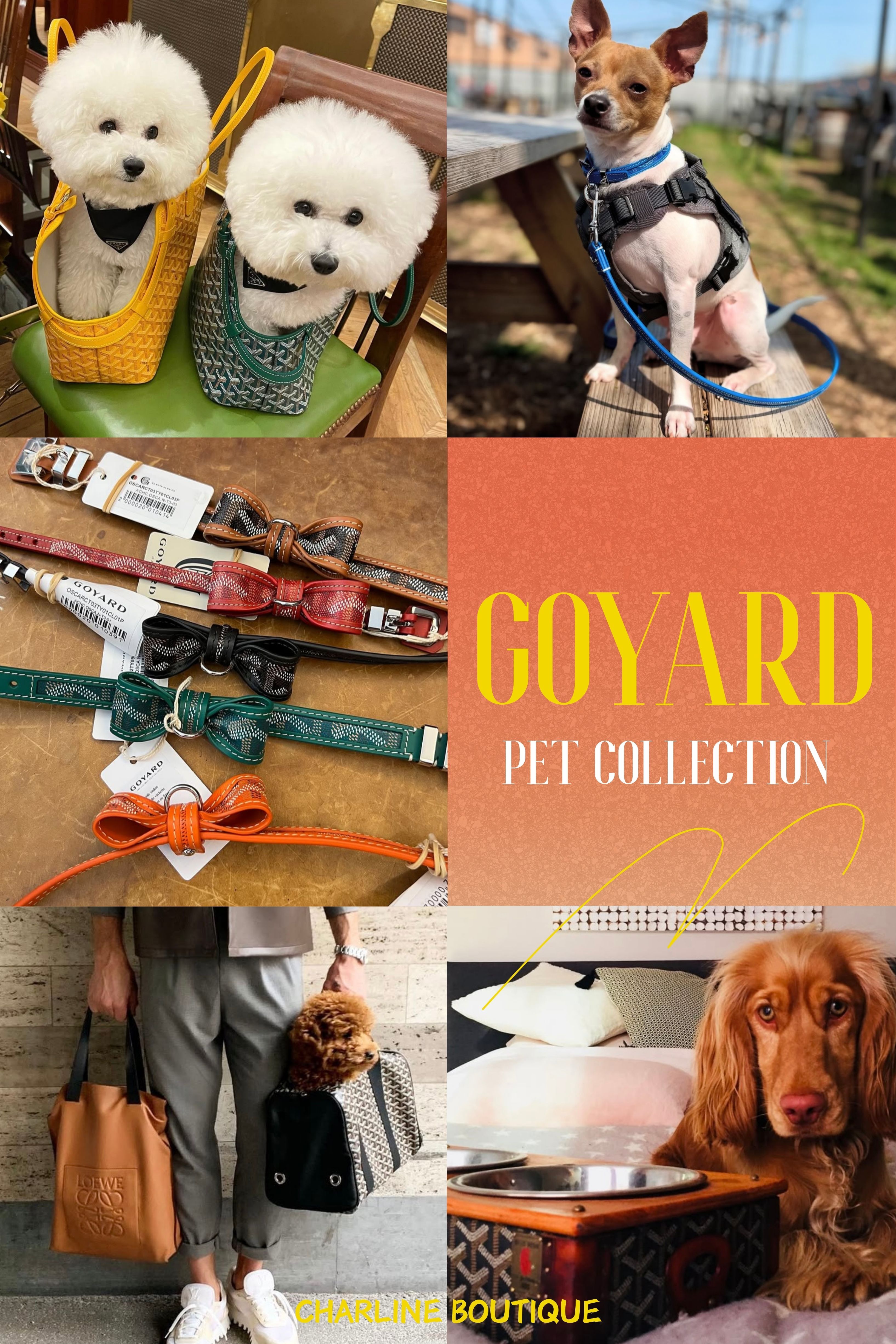 看完 Goyard 的寵物系列後，很多客人私訊 Charline Boutique 問：「那其他品牌的毛孩精品值得入手嗎？」以下整理出最常被搜尋、也最貼近鏟屎官日常的真實問題讓您更清楚明瞭。  Goyard寵物單品相關Q&A  Q1：Goyard的寵物單品多嗎？有什麼款式？  Ａ：Goyard 是精品品牌中最早推出完整寵物系列的品牌之一，單品種類非常齊全。從外出到居家都有，包括 頸圈、牽繩、寵物包、旅行碗與餵食碗 等。其中最受歡迎的有：Oscar、Edmond、Franklin 三款項圈（依大小犬種設計），可搭配同名牽繩組成一整套；外出則有 Chien Gris 寵物托特包 與 Voltigeur MM 登機包，兼具安全性與時尚感；居家系列則有 Edmond Bowl 餵食碗 與可折疊的 Travel Bowl 旅行碗。Charline Boutique 的經驗分享：這系列的顏色多達 11 種，還能客製名字或字母，是許多鏟屎官最愛入手的精品寵物品牌之一。    Q2：可以幫寵物做名字客製嗎？推薦哪些品牌？  Ａ：可以的！目前確定能幫寵物用品做名字或字母客製的品牌有 Louis Vuitton 和 Goyard。Louis Vuitton 可以在狗項圈或寵物旅行包上免費燙印（Hot Stamp）英文字母。Charline Boutique 觀察到：這兩個牌子的客製效果都很細緻、辨識度高，是很多鏟屎官幫毛孩打造「專屬精品配件」的首選。    Q3：Goyard 的帆布材質防水嗎？ Ａ：是的，Goyard 的帆布具有防潑水特性，但並非完全防水。品牌採用獨家的 Goyardine 塗層帆布，在棉與麻混紡布料上覆蓋樹脂塗層，使表面能抵抗日常水滴、灰塵與磨損，因此下雨天短時間接觸水並不會有問題。不過若長時間浸水或高濕環境使用，仍可能讓皮革邊條或內襯受潮。根據 Charline Boutique 的收藏與市場經驗，這材質非常耐用，擦拭後能恢復光澤，但仍建議避開大雨環境並保持乾燥收納。    Q4：Goyard 除了包包還有哪些熱門的東西？  Ａ：其實 Goyard 不只做包！品牌還有許多低調卻極具收藏價值的「隱藏單品」，像是 旅行配件、文具、家飾與寵物系列。其中包括 行李箱、護照夾、鑰匙包、名片夾、收納盒、棋盤組、狗項圈與餵食碗 等，每一樣都延續經典的 Goyardine 花紋與手工皮革細節。Charline Boutique 發現：這些小眾單品雖不如包款熱門，但在懂品牌的收藏家與長期顧客之間非常受歡迎，尤其是旅行箱與寵物用品系列，常被視為「真正了解 Goyard 的人」才會入手的經典象徵。    Q5：除了托特包，Goyard 還有哪些款式是推薦的？  Ａ：除了經典的 Saint Louis 托特包，Goyard 其實還有許多人氣包型值得入手。像 Anjou Mini 雙面托特、Bohème 流浪包、Saïgon 手提包、Petit Flot 水桶包、Vendôme 貝殼包、Belvedere 郵差包 和 Alpin 後背包 都是近年熱賣款。Anjou 以雙面設計最具代表性；Saïgon 的木質手柄充滿復古味；Petit Flot 水桶包與 Vendôme 貝殼包則展現法式優雅。另有 Voltaire 公事包、Senat 收納包 及多款小皮件（如 Saint Sulpice 卡夾、Victoire 零錢包）也備受收藏家青睞。Charline Boutique 常常遇到客人詢問 這幾款差異，我們也建議依個人風格挑選包型，甚至是可以搭配上手繪客製，讓整體更有特色。    Q6：跟 Goyard 比起來，Gucci 的寵物系列走的是什麼風格？ Ａ：Gucci 的寵物系列整體更活潑、年輕一點。它不只出項圈、牽繩，還有衣服、碗、床墊、包包等，幾乎能幫毛孩打造一整套造型。品牌延續經典的 GG Supreme 帆布、綠紅織帶和印花圖案，看起來比 Goyard、LV 那種皮革工藝風更「時尚可愛」。Charline Boutique 常常遇到客人詢問，很多人會乾脆連自己和寵物都買同系列，一起出門拍照超吸睛。    Q7：如果喜歡 Goyard 那種工藝感，Hermès 的寵物系列會不會太貴？ Ａ：確實價格高一些，但 Hermès 的質感真的沒話說。它的寵物系列延續品牌一貫的高工藝，像 Hermès Médor Collar 項圈就用了和 Kelly 包同款的鉚釘設計，皮革軟中帶挺，超有質感。根據 Charline Boutique 的收藏與市場經驗，很多飼主一開始嫌貴，但入手後都說值，因為那質地跟細節真的是精品等級。    Q8：除了 Goyard，Louis Vuitton 也有出寵物系列嗎？ Ａ：有啊！LV 的寵物系列其實超完整，像 Dog Carrier 寵物旅行包、Monogram 項圈、牽繩、睡墊和餵食碗都有。最經典的就是 Dog Carrier PM/MM，那個包體輕又耐刮，內襯還防水，超適合常旅行的毛孩。Charline Boutique 留意到 很多客人會在選 Goyard 登機包時，同時比較 LV 的這款，兩者都是兼具功能與時尚的熱門選擇。    Q9：那 Dior 的寵物包和 Goyard 的比，有什麼特別的？ Ａ：Dior 的風格比較高調華麗，尤其是 2023 年推出的 Dior Hit The Road 寵物袋，整個就是精品級行頭。採用經典 Dior Oblique 緹花和 Cannage 藤格紋設計，細節滿滿又透氣舒適。Charline Boutique 觀察這幾年的趨勢：很多客人會拿這款和 Goyard 的 Chien Gris 托特包相比，前者時尚感更強、後者則走低調法式路線。    Q10：Celine 的寵物系列會不會也像 Goyard 那樣注重細節？  Ａ：會的！Celine 的寵物系列完全是走精緻工藝派。像 Triomphe 項圈與牽繩用的是小牛皮搭配鉚釘細節，寵物碗還有木製碗托，超有設計感。Dog Cabas 寵物袋也很受歡迎，不管豹紋還是老花款都超搶手。Charline Boutique 的經驗分享：很多客人說 Celine 的細節做得比想像中講究，質感和 Goyard 一樣，是會越看越愛的那種精品寵物系列。