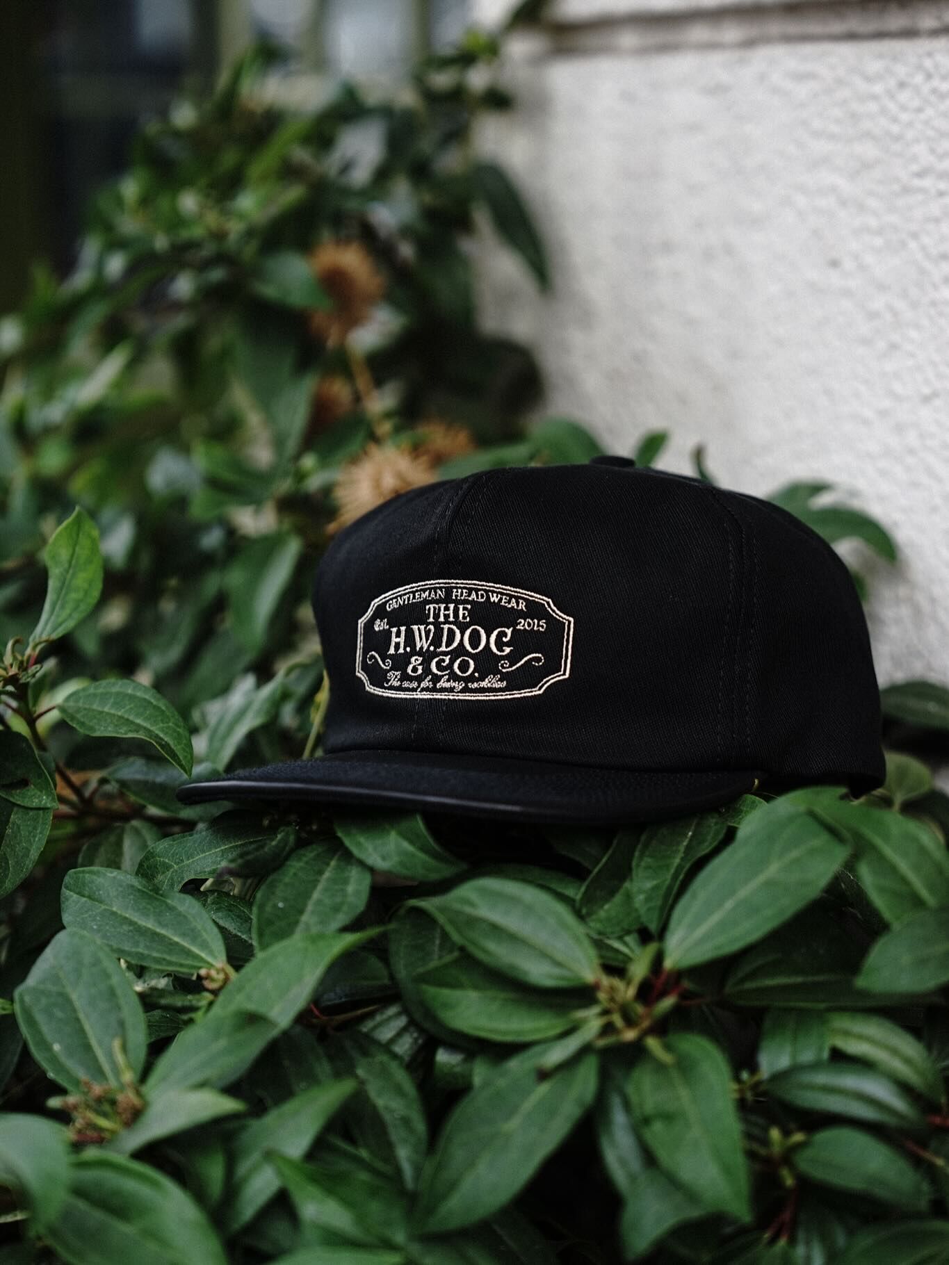 現貨🇯🇵日本THE H.W. DOG & CO. TRUCKER CAP 10th 10週年紀念款