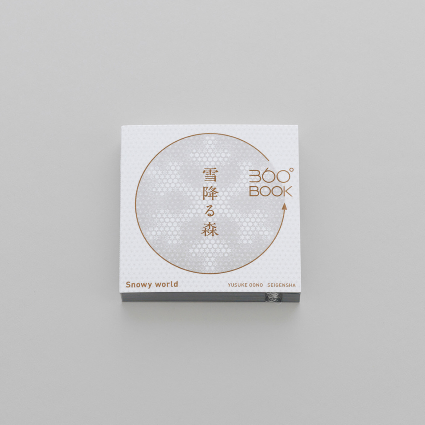 『青幻舎』透視畫360°BOOK 雪降森