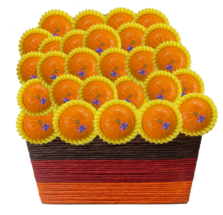 人人有柑執-開張果籃 251013 2