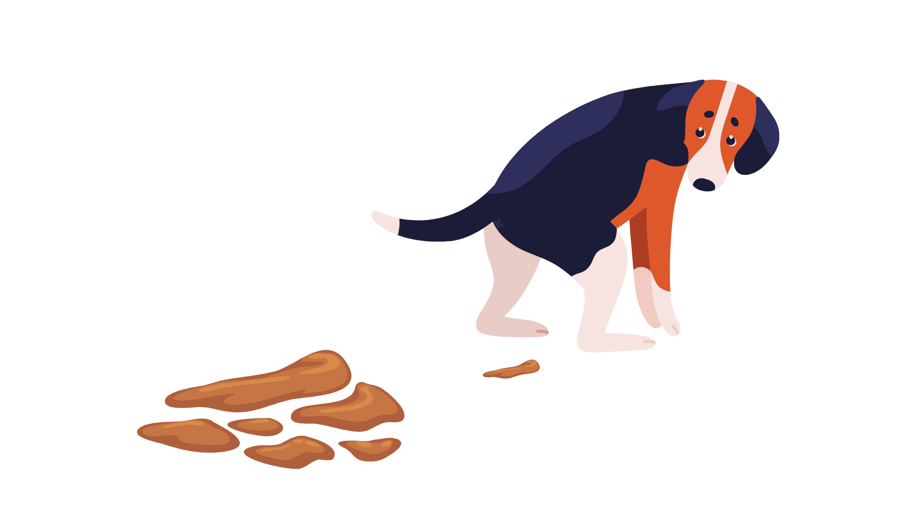 狗狗腸胃對突如其來的食物變化非常敏感,若更換飼料過快、餵太多零食或誤食人類食物,容易導致腸胃菌叢失衡,引發拉肚子或軟便。