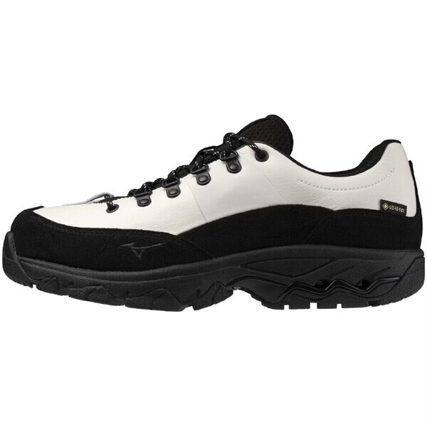 Mizuno 美津濃 Wave OD GTX B1GA250001 男女 健走 步行鞋 寬楦 防水 舒適 走路 黑白