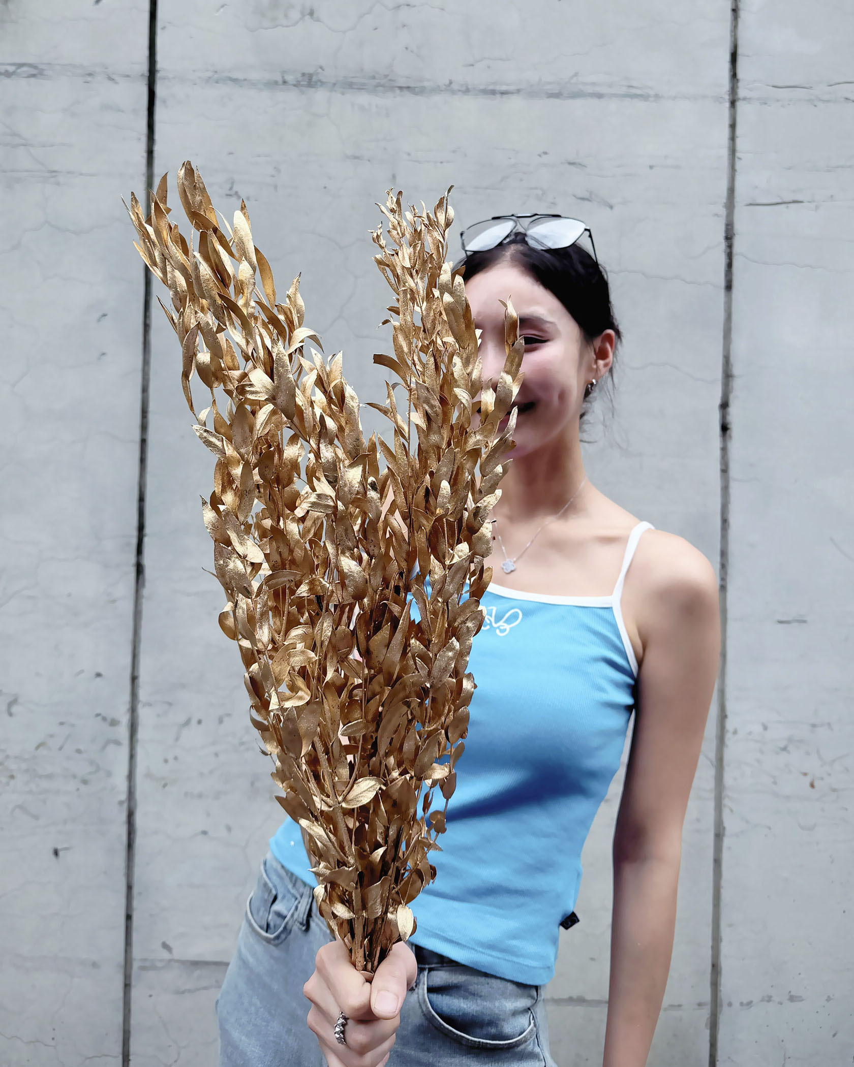 【金】小尖葉尤加利