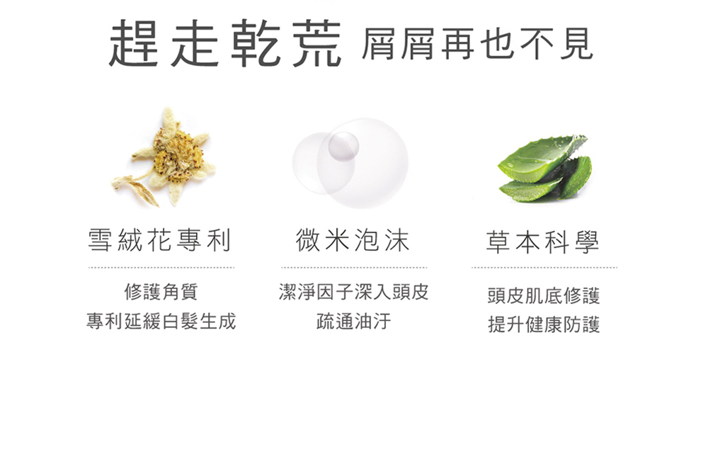 趕走乾荒,屑屑再也不見,修護角質,專利延緩白髮生成,潔淨因子深入頭皮,疏通油汙,頭皮基底修護提升健康防護