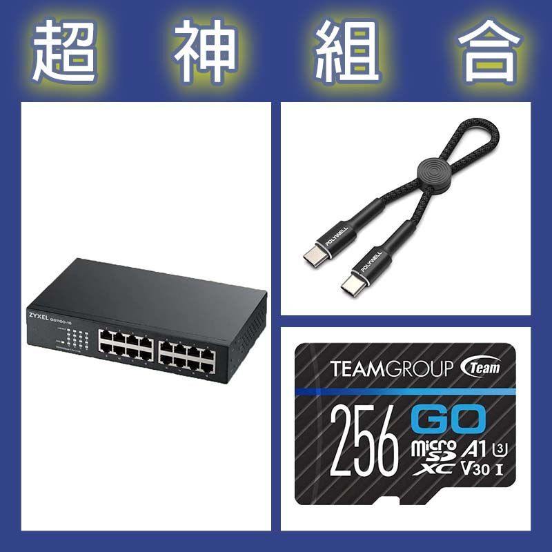 【超神組合】合勤 GS1100-16v3交換器+十銓 GO Card 256G記憶卡+寶利威爾 Type-C極短快充線