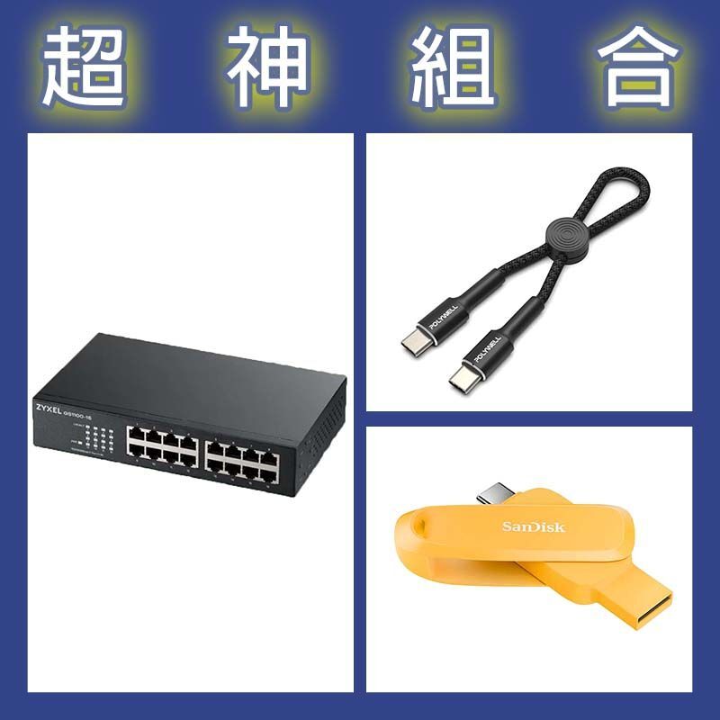 【超神組合】合勤 GS1100-16v3交換器+晟碟 Phone Drive 256G隨身碟+寶利威爾 Type-C極短快充線