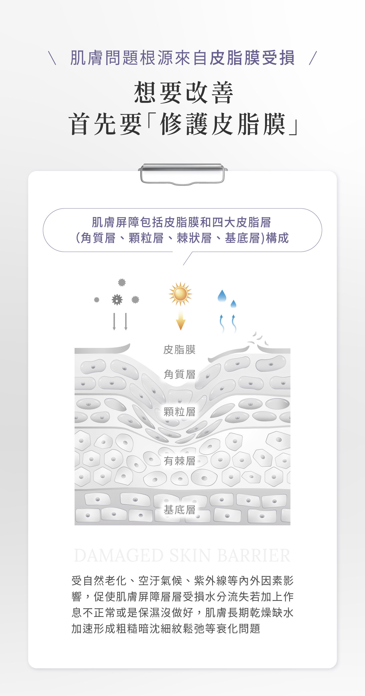 想要改善肌膚困擾,要先「修護皮脂膜」!