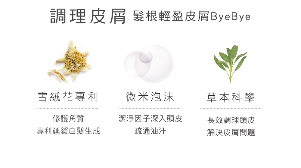 調理皮屑,髮根輕盈皮屑掰掰,雪絨花專利,修護角質,專利延緩白髮生成,微米泡沫,潔淨因子深入頭皮,疏通油汙,草本科學,長效調理頭皮,解決皮屑問題